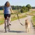 PawHut Hund Fahrradleine