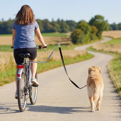 PawHut Hund Fahrradleine
