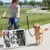 PawHut Hund Fahrradleine