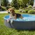 PawHut Hundepool PawHut Hundepool