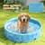 PawHut Hundepool
