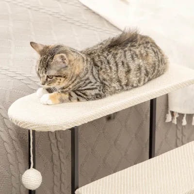 PawHut Haustiertreppe