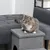 PawHut Haustiertreppe PawHut Haustiertreppe