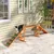 PawHut Agility Set Hunde