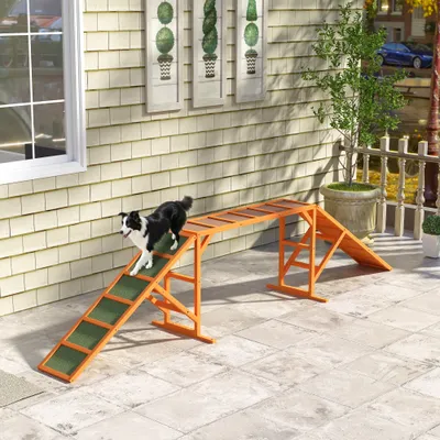 PawHut Agility Set Hunde