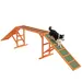 PawHut Agility Set Hunde