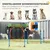 PawHut Agility Set Hunde