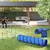 PawHut Agility Set Hunde