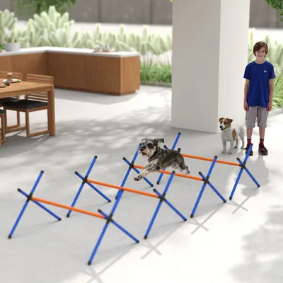 PawHut Agility Set Hunde