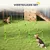 PawHut Agility Set Hunde