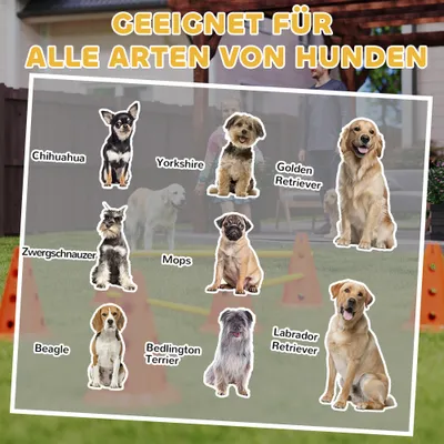 PawHut Agility Set Hunde