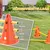 PawHut Agility Set Hunde