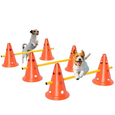 PawHut Agility Set Hunde Orange