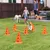 PawHut Agility Set Hunde