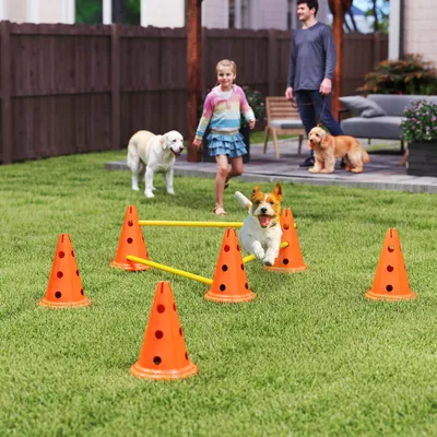 PawHut Agility Set Hunde