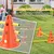 PawHut Agility Set Hunde PawHut Agility Set Hunde
