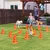 PawHut Agility Set Hunde PawHut Agility Set Hunde