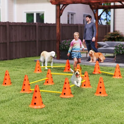 PawHut Agility Set Hunde PawHut Agility Set Hunde