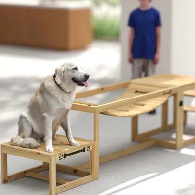 PawHut Agility Set Hunde