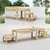 PawHut Agility Set Hunde