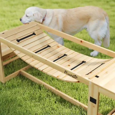 PawHut Agility Set Hunde