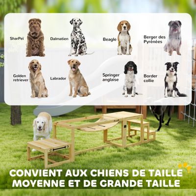 PawHut Agility Set Hunde