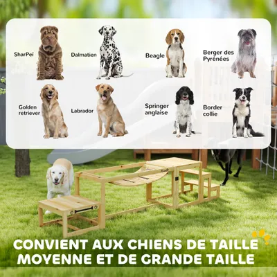 PawHut Agility Set Hunde