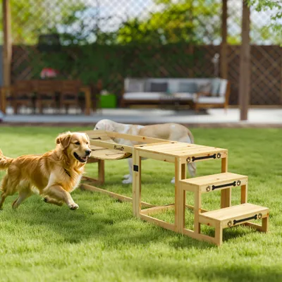 PawHut Agility Set Hunde