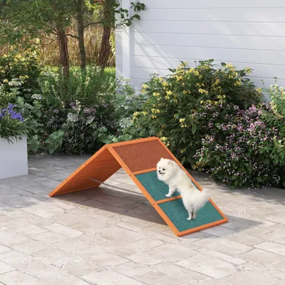 PawHut Agility Set Hunde PawHut Agility Set Hunde