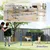 PawHut Agility Set Hunde