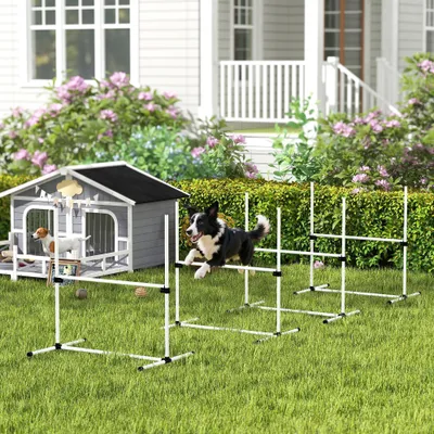 PawHut Agility Set Hunde PawHut Agility Set Hunde