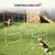 PawHut Agility Set Hunde PawHut Agility Set Hunde