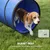 PawHut Agility Set Hunde