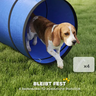 PawHut Agility Set Hunde