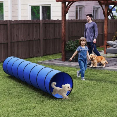 PawHut Agility Set Hunde