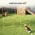 PawHut Agility Set Hunde PawHut Agility Set Hunde