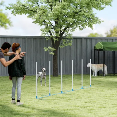 PawHut Agility Set Hunde