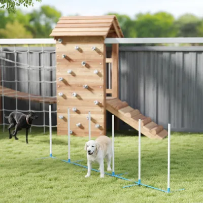 PawHut Agility Set Hunde