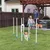 PawHut Agility Set Hunde