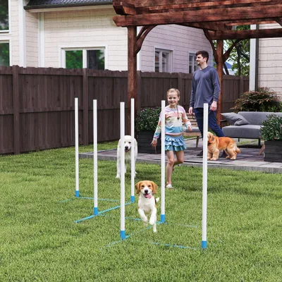 PawHut Agility Set Hunde