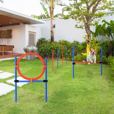 PawHut Agility Set Hunde