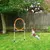 PawHut Hundetrainingsset
