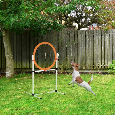 PawHut Hundetrainingsset