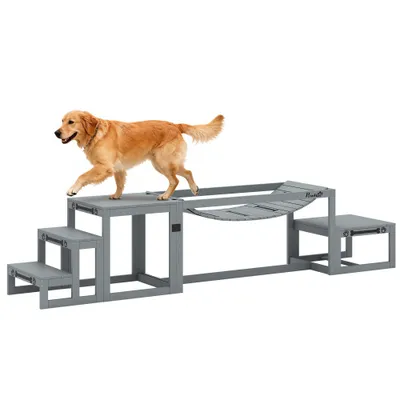 PawHut Agility Set Hunde