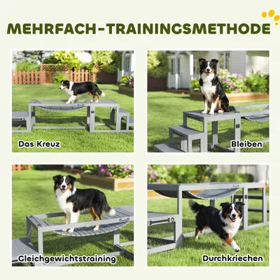 PawHut Agility Set Hunde PawHut Agility Set Hunde