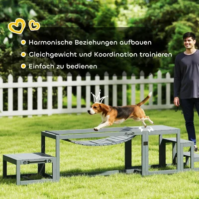 PawHut Agility Set Hunde PawHut Agility Set Hunde