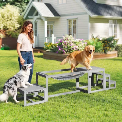 PawHut Agility Set Hunde PawHut Agility Set Hunde