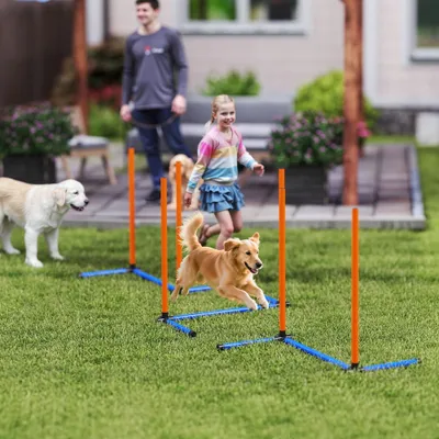PawHut Agility Set Hunde