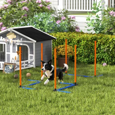 PawHut Agility Set Hunde