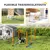 PawHut Agility Set Hunde